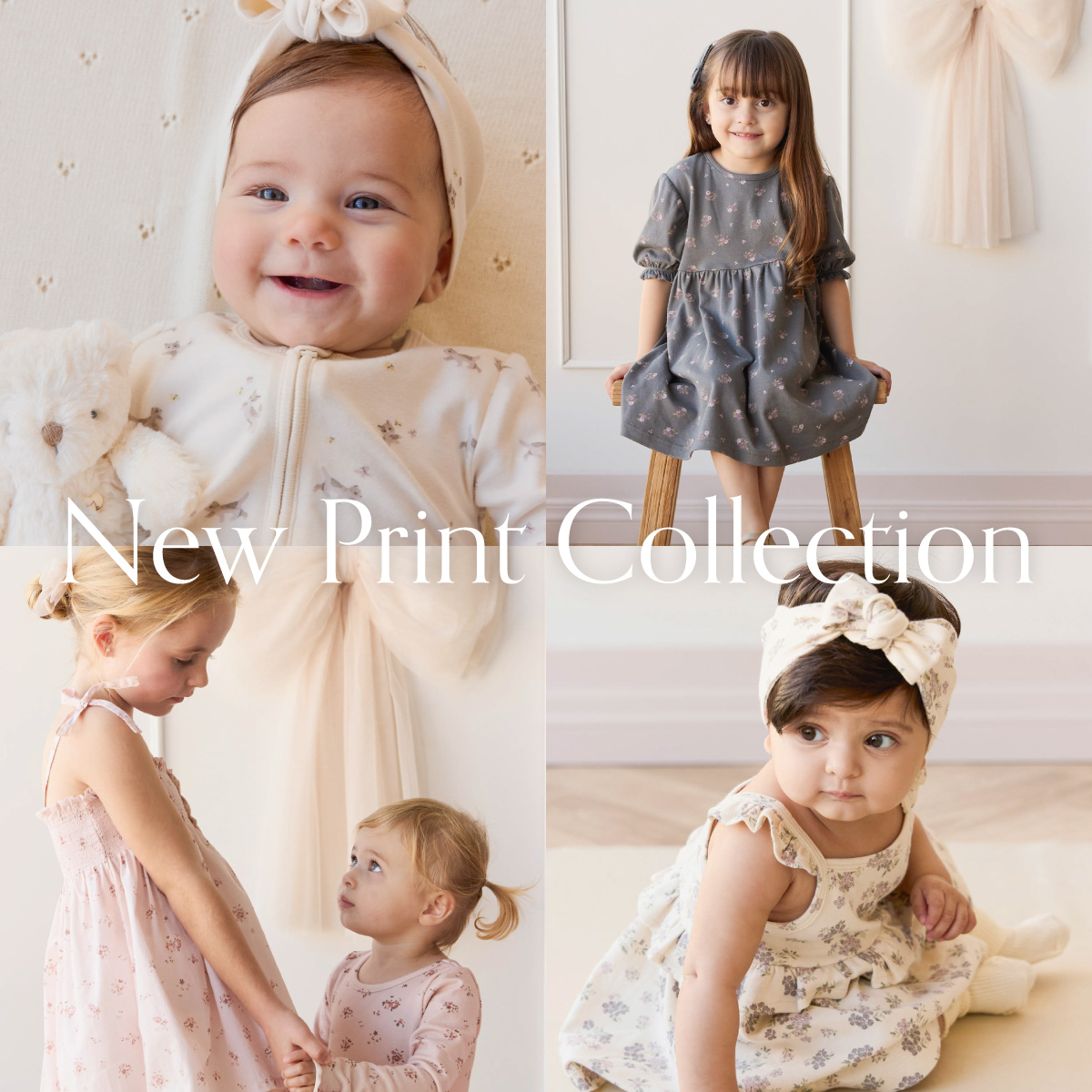 New Print Collection