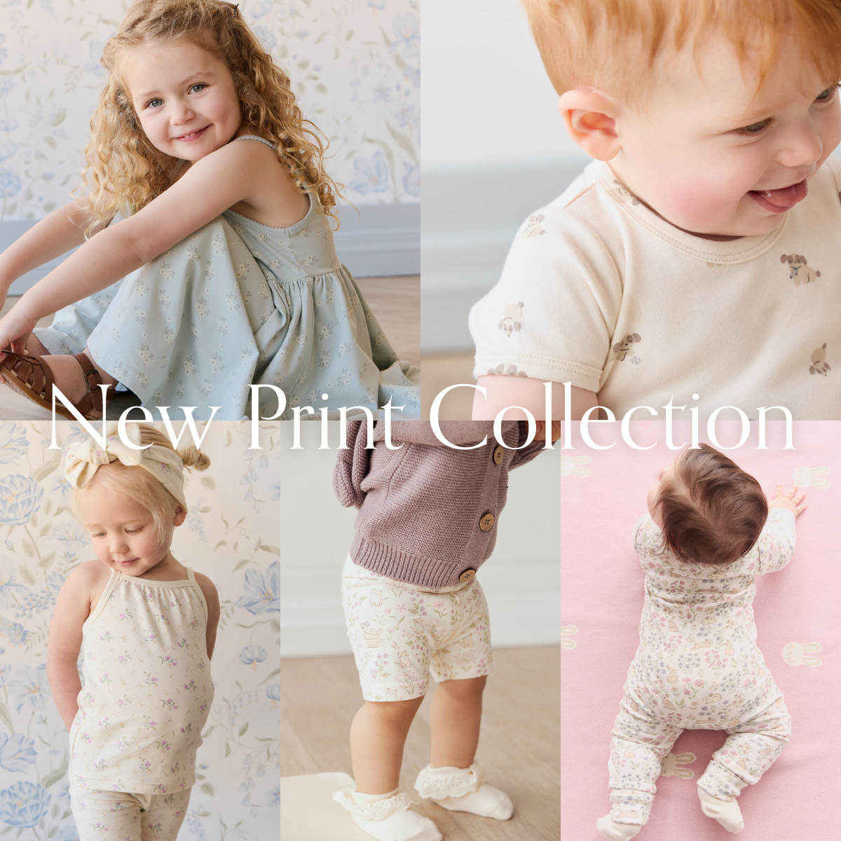 New Print Collection