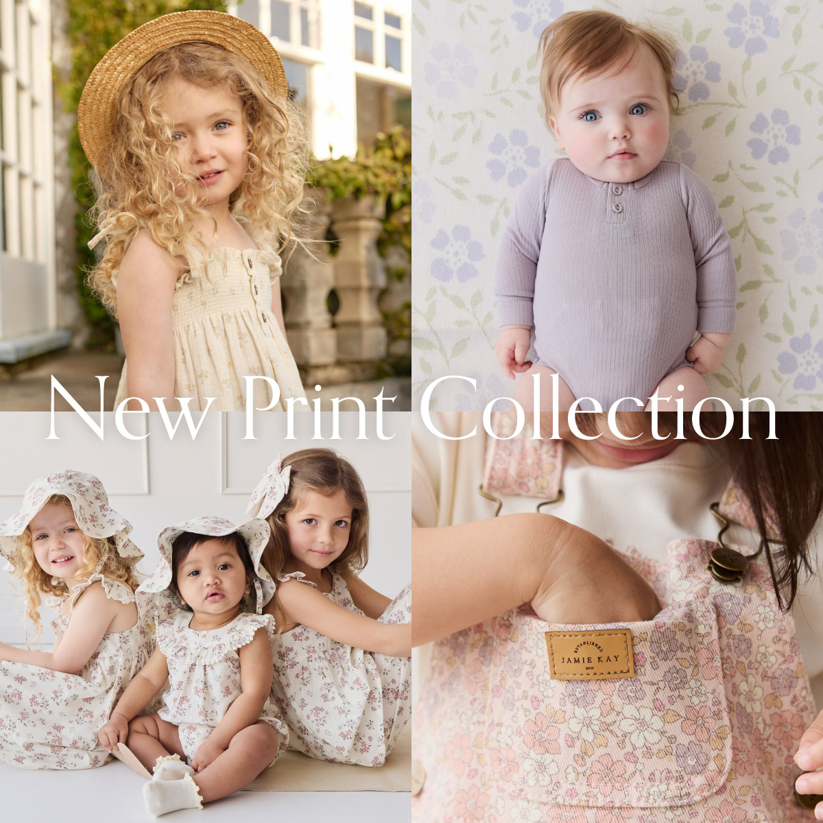 New Print Collection