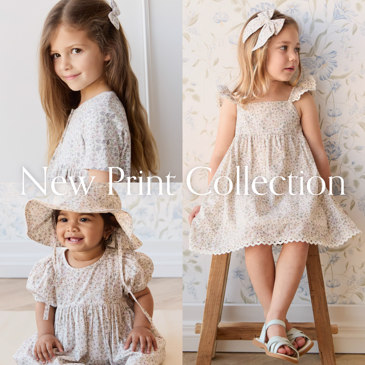 New Print Collection