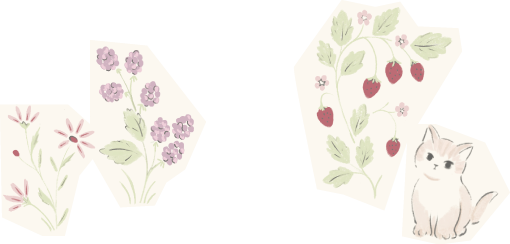 decoration
